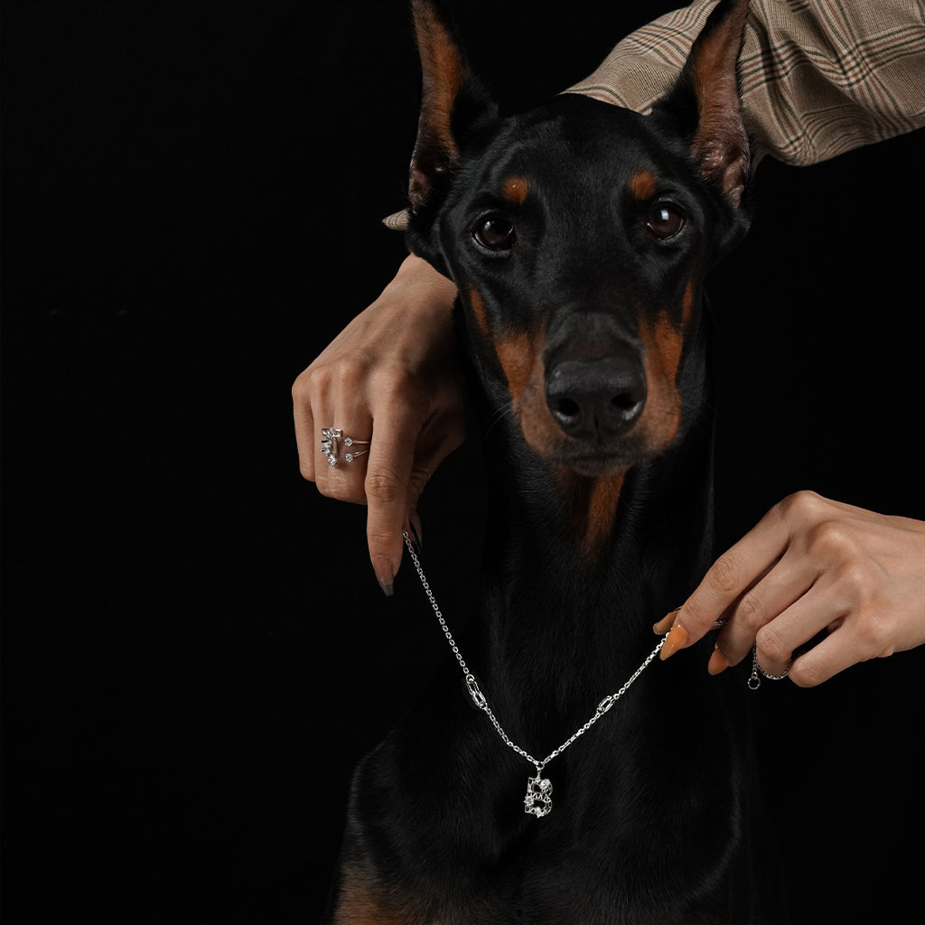 New Alphabet B Necklace [White gems]